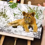 Coloring Unlimited