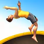 Flip Trickster
