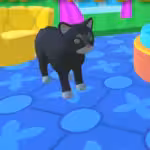 The Kitty Hotel