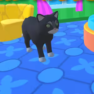 The Kitty Hotel